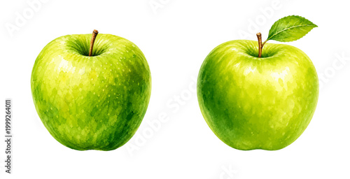 A charming watercolor set of green apples featuring fresh juicy fruit with glossy skin and a single leaf illustrated in a natural botanical style.