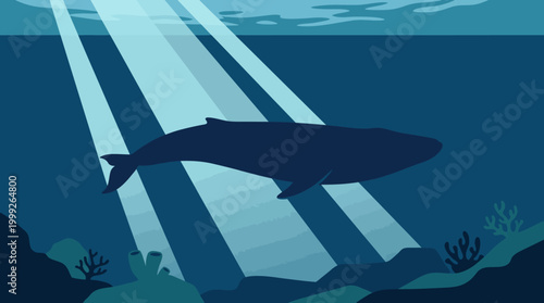 Whale swimming underwater with sunlight rays.