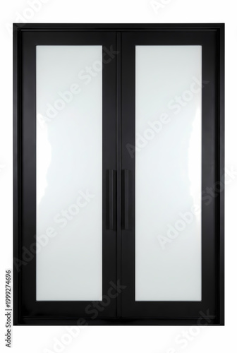 modern black framed double glass door with frosted panels and handle