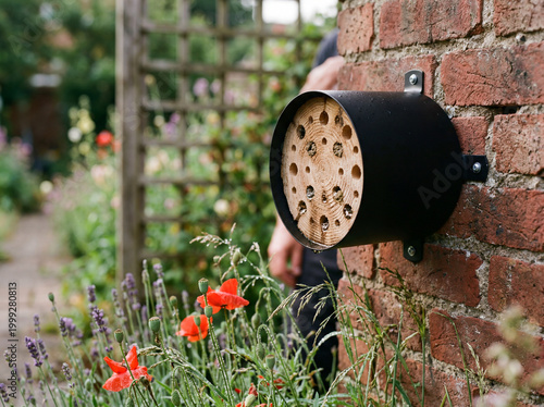 Modern insect hotel on brick wall in urban wildflower garden