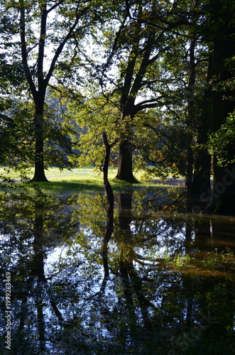 Podtopiony Park Wschodni we Wrocławiu zalany teren zielony odbicia drzew w wodzie