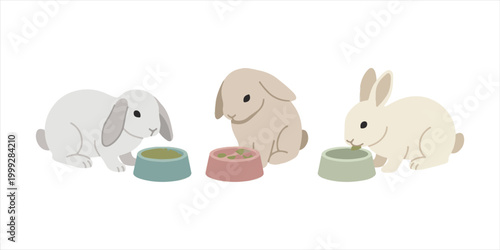 Cute cartoon vector illustration of a happy baby bunny set with different pink Easter egg shoes and funny animal ears for a spring holiday card design
