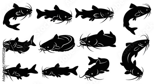 Catfish Silhouette Collection: Various Poses and Angles