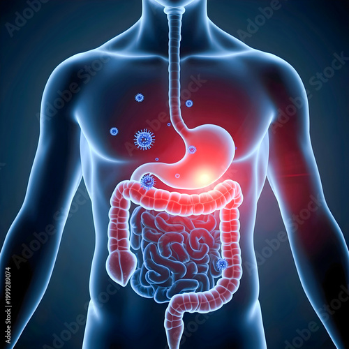 “Immune Cells vs Virus in Human Digestive System, Viral Infection Defense, 3D Medical Illustration”