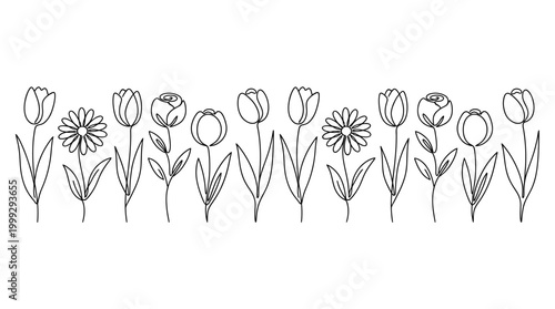 Row of hand-drawn flowers in a black-and-white botanical line art sketch, ideal for design, decor and prints.