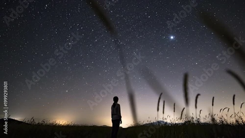 Woman Looking at Starry Night Sky, Silhouette in Field, Peaceful Nature Timelapse