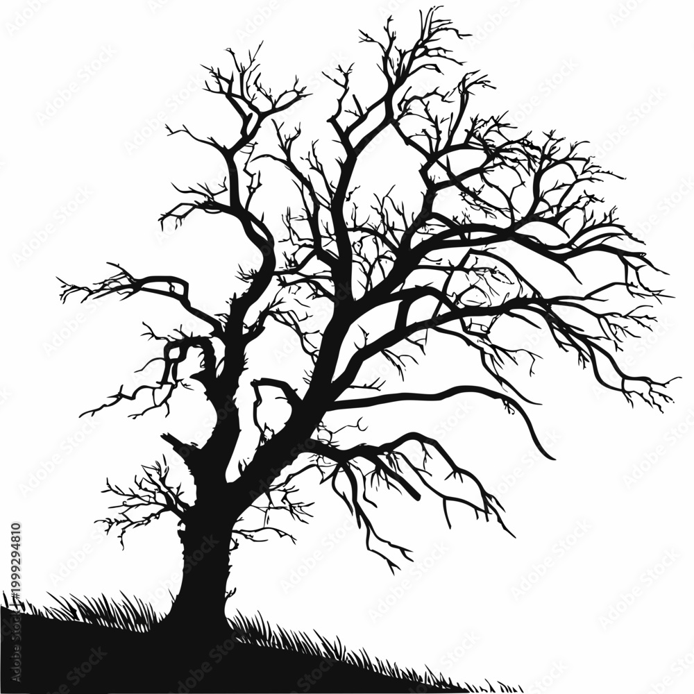 Fototapeta premium Dead Tree Silhouette – Black and White Minimal Nature Vector Illustration SVG