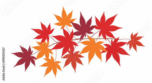 Autumn Maple Leaves Branch - Red, Orange Foliage on White Background