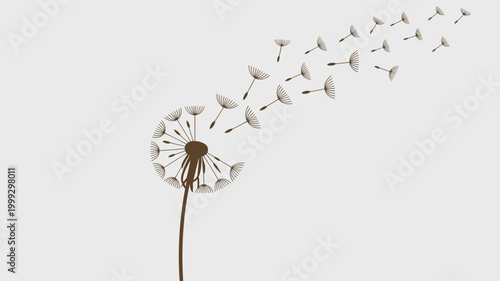 Dandelion seeds blowing in wind – Ideal for nature-inspired branding, transformation concepts, or delicate web graphics.