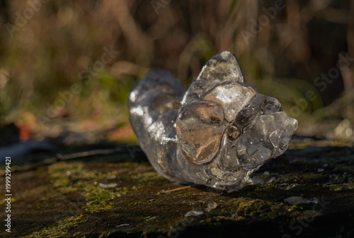 Abstract ice fragment on mossy tree stump in forest
