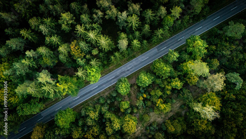 Konstfotografi Aerial top-down view of a straight asphalt road cutting through a dense green forest