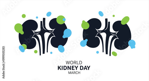 Illustration of human kidneys with decorative elements and world kidney day text