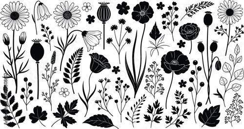 Black and white illustration of various wildflowers and plants on a plain white background with clear detailed designs