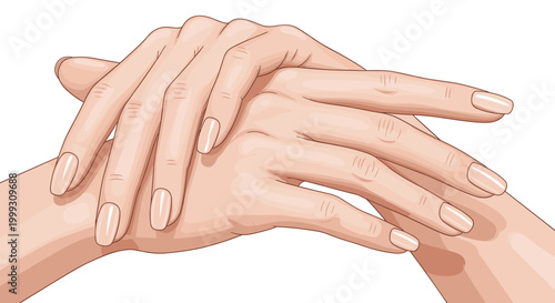 Illustration of close-up view of elegantly manicured hands with natural nails, showcasing delicate skin tones on a minimalistic white background