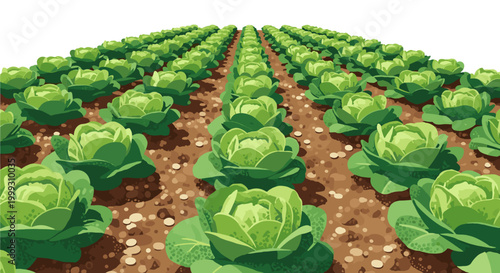 Vibrant rows of lettuce growing in a neatly arranged field against a clear sky, showcasing lush green leaves and rich soil in a symmetrical pattern