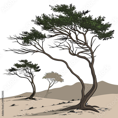 Trees on a hillside digital illustration with a painted style