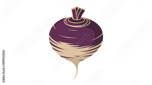 Purple beetroot vegetable illustration