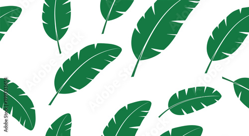 Green banana leaves pattern on white background, tropical plant foliage, simple illustration