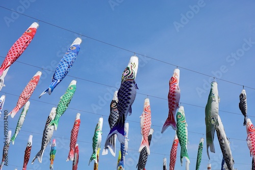 Photos 青空を登る鯉のぼり　埼玉県川口市芝川公園