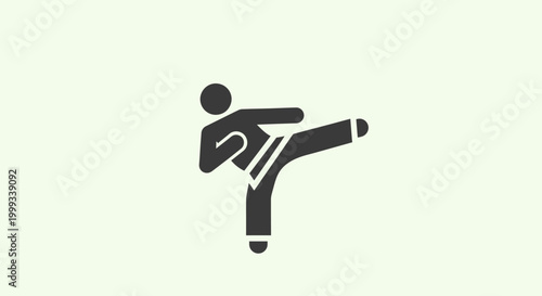 Silhouette of a person performing a martial arts kick, symbolizing combat sports, fitness, and self-defense.