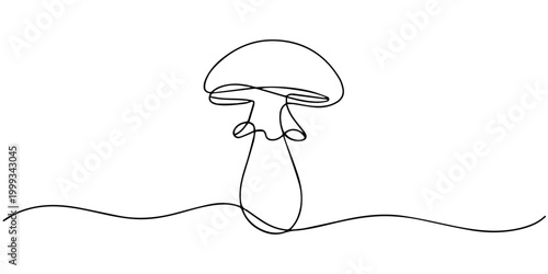 Continuous one line drawing mushroom vector illustration stroke on transparent background, Mushroom one continuous line drawing. Nature food in simple linear style. Edible autumn harvest in editable