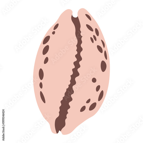 Spotted minimalist seashell vector for unique boho branding and organic cosmetic packaging design