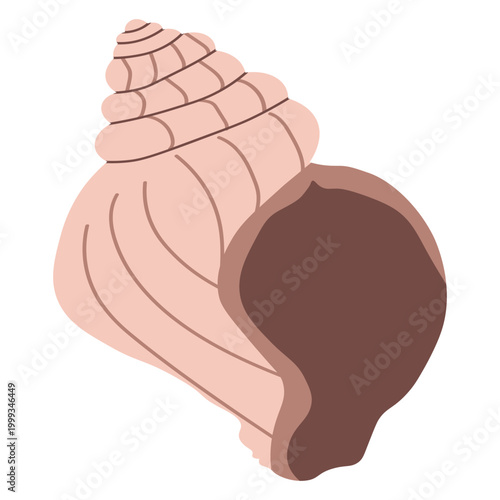 Aesthetic boho sea shell element for minimalist organic branding and summer wedding stationery