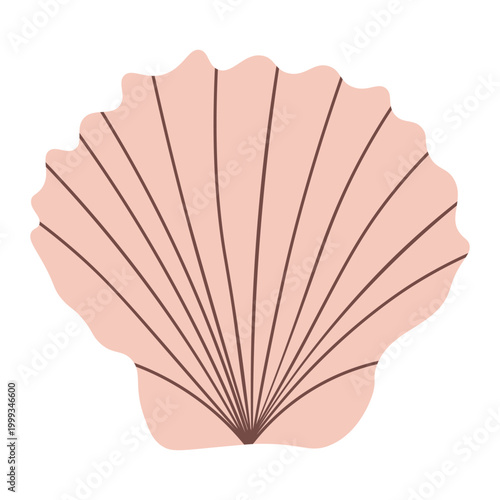 Minimalist iconic scallop seashell with ribbed texture and fan shape in soft beige and brown tones. This classic nautical element is perfect for logo design or beach decor