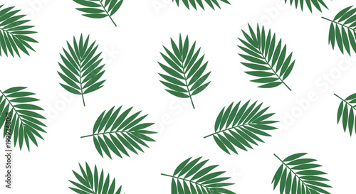 Green palm leaves pattern on white background, tropical foliage illustration