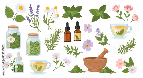 Herbal Remedy Vector Set with Medicinal Plants Leaves Oils Teas and Mortar Pestle – Organic Wellness Clipart Pack