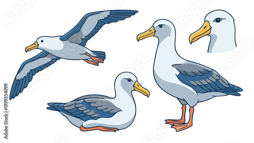Foto Albatross Bird Cartoon Set Flying Standing Sitting and Head View