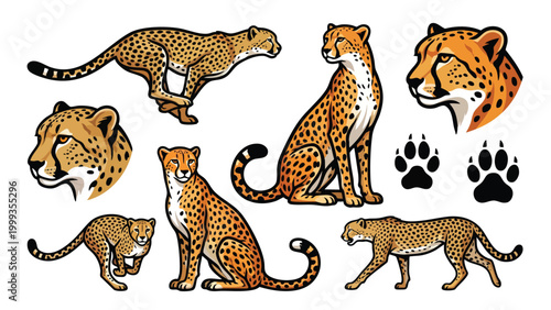 Konstfotografi Cheetah Illustration Set Fastest Land Animal Wildlife Collection