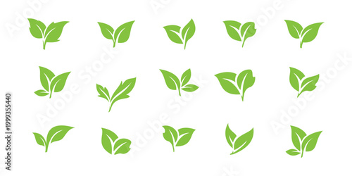 green leaf icons. creative premium symbol. Leaves of trees and plants element. graphic design for  nature,  eco, bio, vegan labels. Vector illustration.