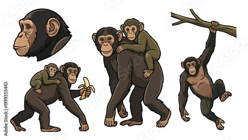 Photography Chimpanzee Family Vector Set Monkey with Baby Jungle Wildlife Illustration