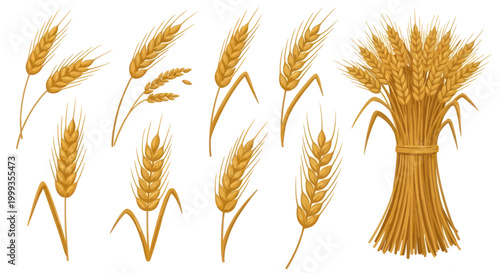 Golden Wheat Stalks Collection - Harvest and Agriculture Icons
