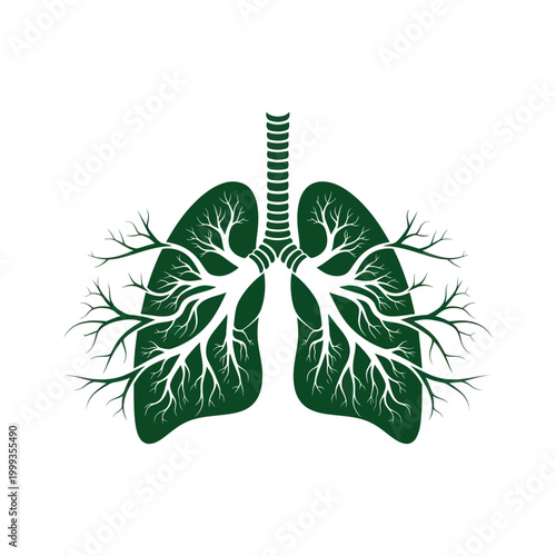 Green Lungs Silhouette with Branching Airways Vector Illustration