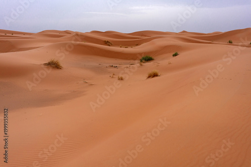 Photos 모래사구,에르그체비,Erg Chebbi,사하라사막,모로코