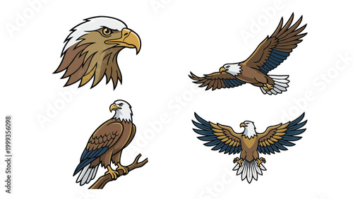 Bald Eagle Vector Illustration Set Detailed Bird of Prey Collection