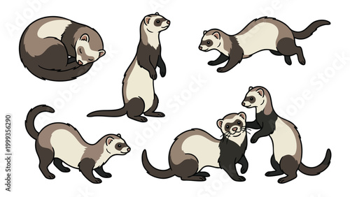 Ferret Vector Illustration Set Cute Pet Animal Cartoon Collection