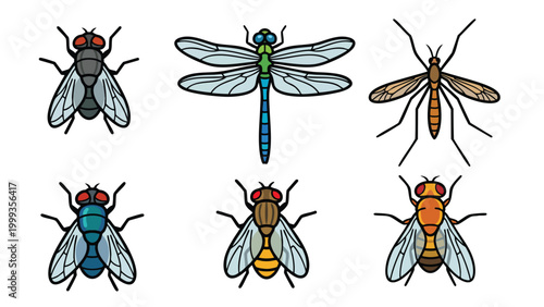 Bild auf Leinwand Fly Insect Vector Illustration Set Cartoon Bug Collection