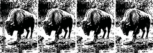 four black and white bison silhouettes standing on rocky terrain, wild american animals in nature