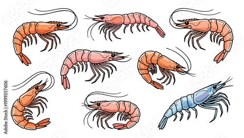 Shrimp Cartoon Collection Set Multiple Prawn Poses Seafood Vector Illustration