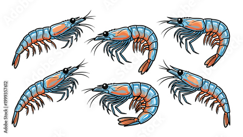 Colorful shrimp illustration set isolated on white background