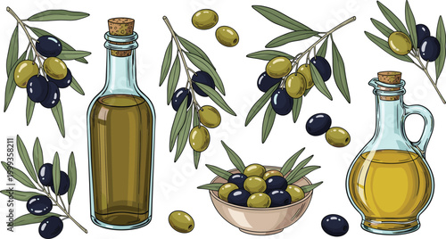 Colorful Olive Oil Collection Vector with Glass Bottle Jug Branch Bowl Black Green Olives and Mediterranean Elements