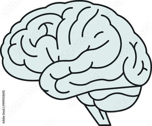 Human Brain Vector Illustration, Anatomical Cerebral Organ for Medical and Educational Use, Healthcare Wellness and Psychology Concept Graphic