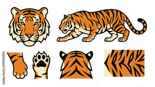 Tiger Character Elements and Pattern Vector Set