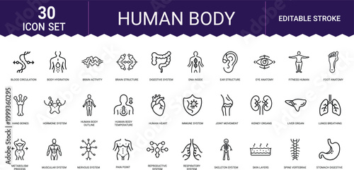 Human body anatomy and physiology outline icon set for medical science and health design.