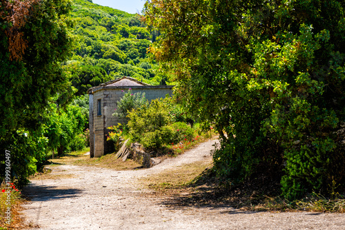 Perdiki village on Ikaria island, Greece cityscape street road of small town with scenic landscape view of home house at longevity blue zone