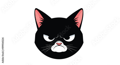 Close up of a grumpy black cat face with a white muzzle and a pink nose showing an annoyed facial expression.