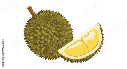 Detailed illustration of a whole spiky durian fruit and a slice revealing the yellow pulp inside isolated on white background.